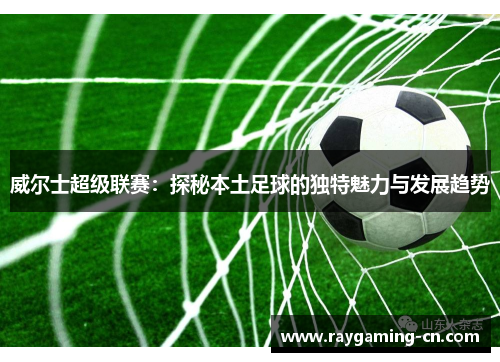 威尔士超级联赛：探秘本土足球的独特魅力与发展趋势