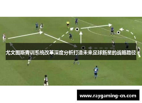 尤文图斯青训系统改革深度分析打造未来足球新星的战略路径
