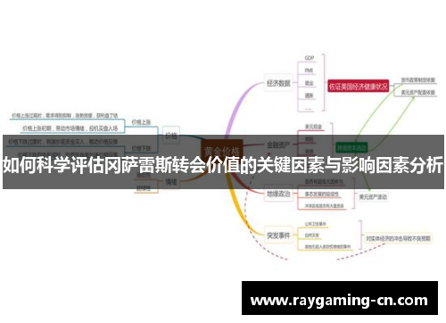 如何科学评估冈萨雷斯转会价值的关键因素与影响因素分析