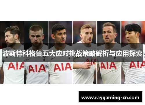 波斯特科格鲁五大应对挑战策略解析与应用探索