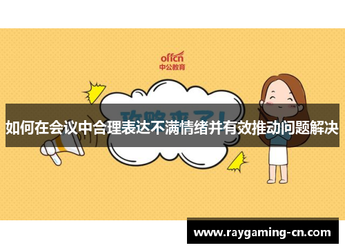 如何在会议中合理表达不满情绪并有效推动问题解决