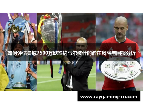 如何评估曼城7500万欧签约马尔穆什的潜在风险与回报分析