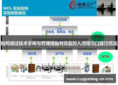 如何通过技术手段与管理措施有效监控入河排污口排污情况