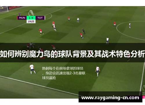 如何辨别魔力鸟的球队背景及其战术特色分析