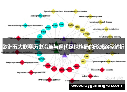 欧洲五大联赛历史沿革与现代足球格局的形成路径解析
